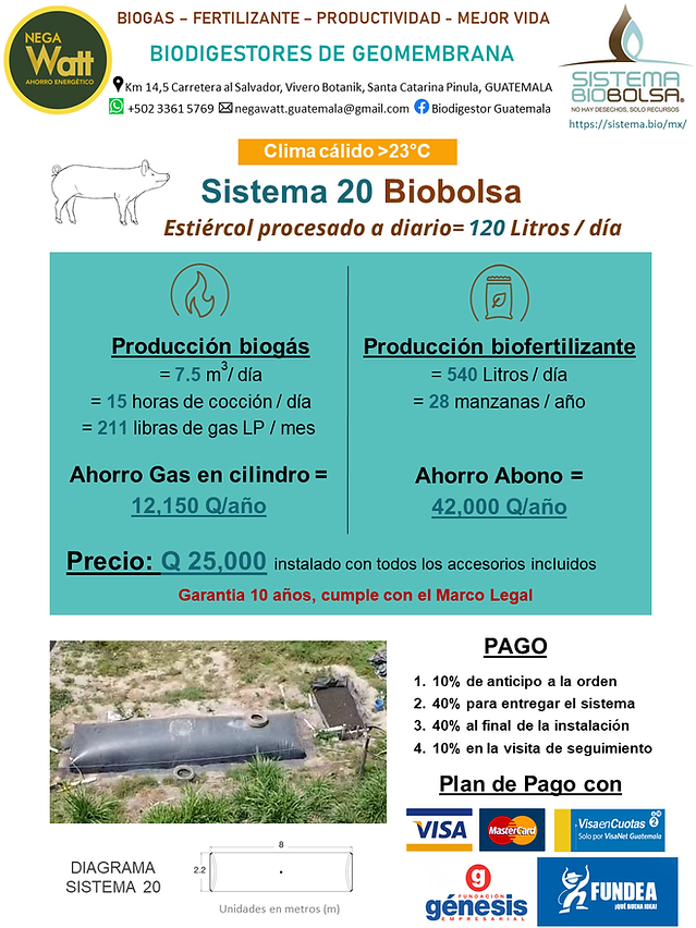 Cerdos-Calido-S20_PNG