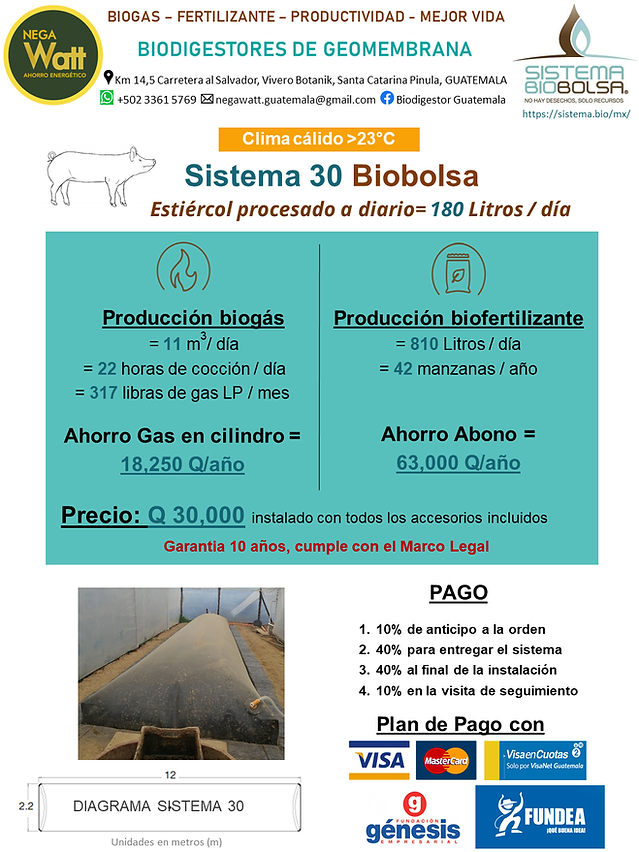 Cerdos-Calido-S30_PNG