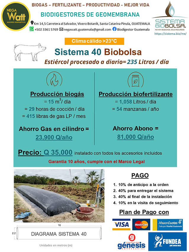 Cerdos-Calido-S40_PNG