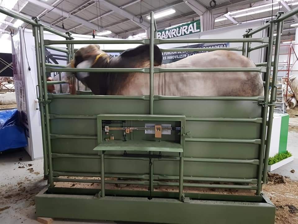 WhatsAppImage2023-08-03at9.39.24AM