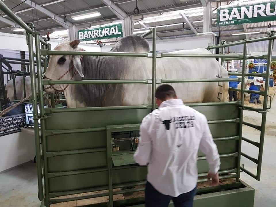 WhatsAppImage2023-08-03at9.39.24AM1