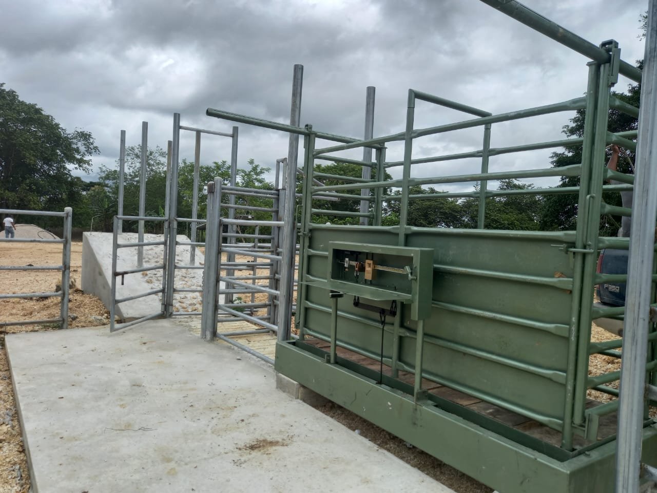 WhatsAppImage2023-08-03at9.39.25AM