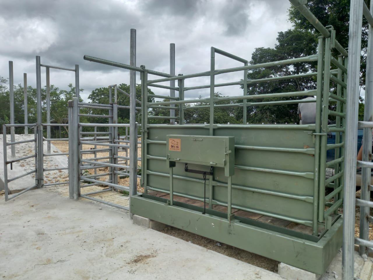 WhatsAppImage2023-08-03at9.39.25AM1