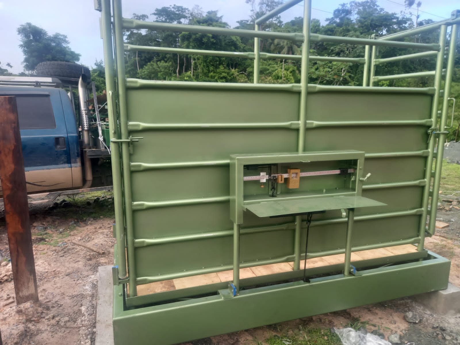 WhatsAppImage2023-08-09at12.29.08PM