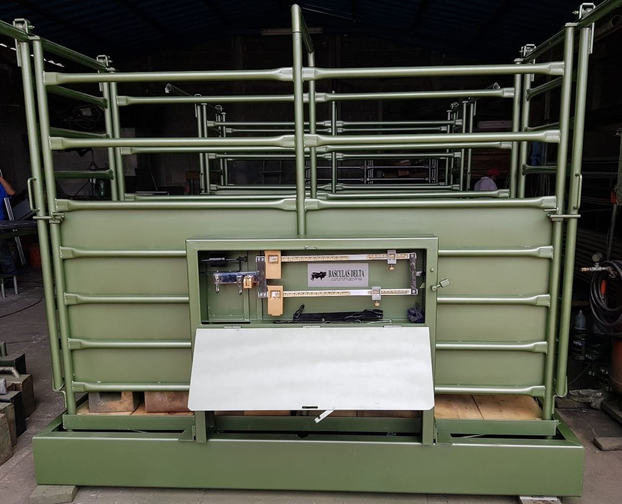 WhatsAppImage2024-03-24at10.21.39