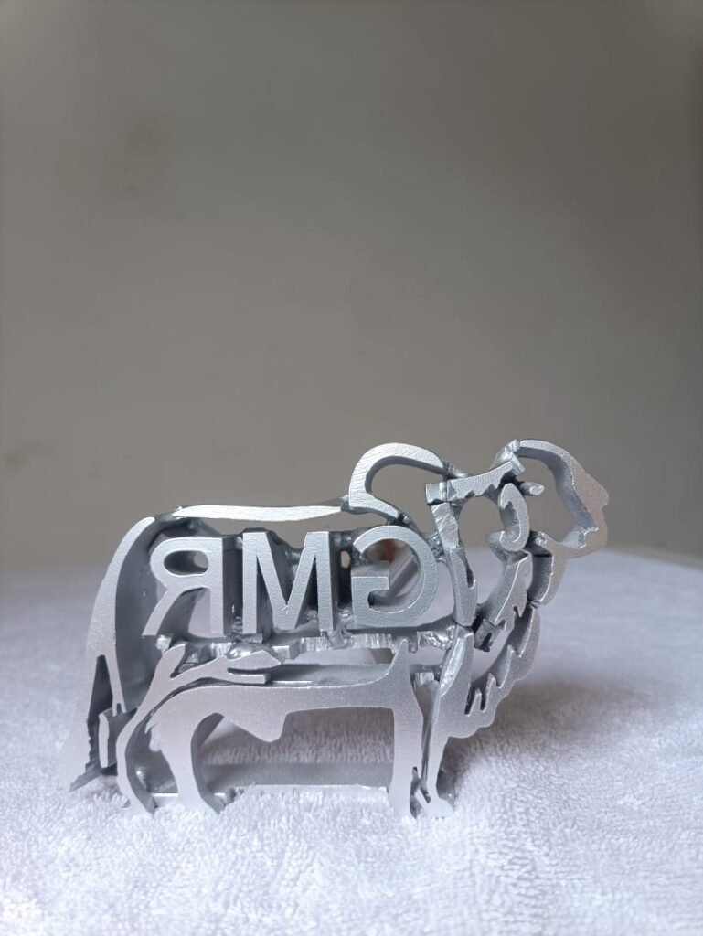 WhatsApp Image 2023-06-17 at 11.47.18 (1)